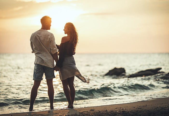 AKVIS OilPaint Video for Mac