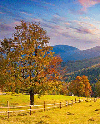 AKVIS OilPaint for Mac